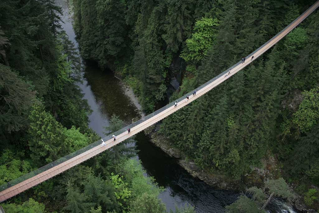 Wander through the mists in Capilano Canyon. Credit: Capilano Suspension Bridge