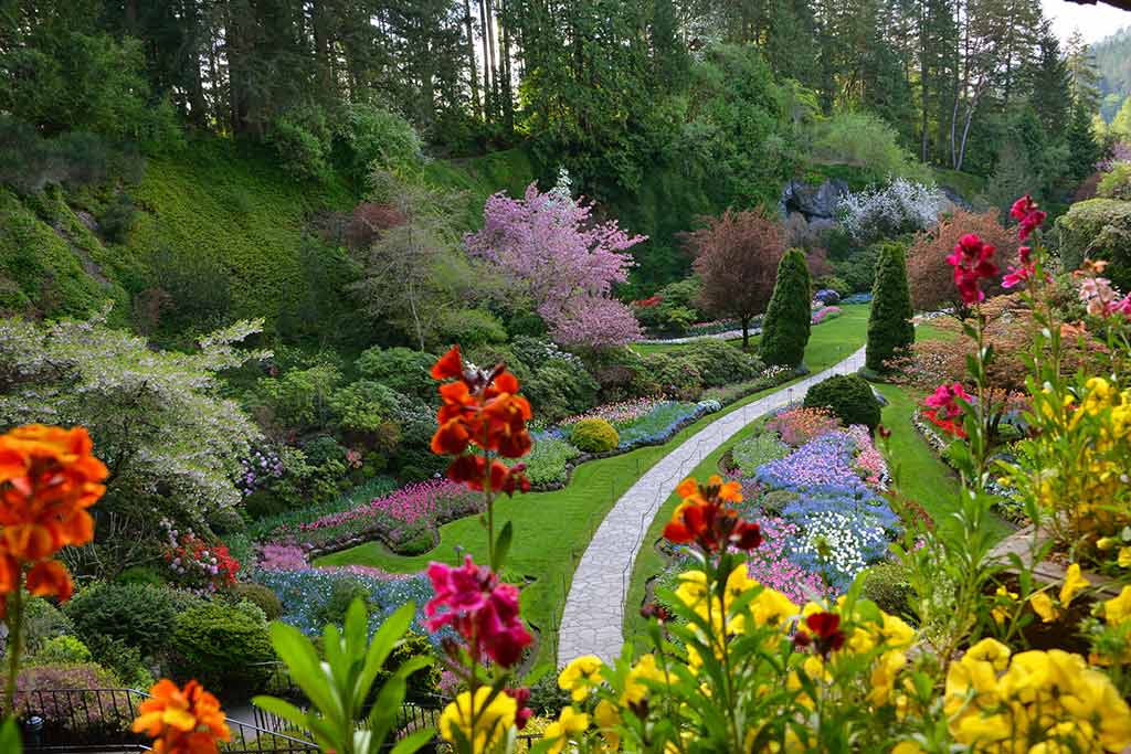 Stroll through The Butchart Gardens’ signature Sunken Garden to see thousands of beautiful blooms. Credit: The Butchart Gardens