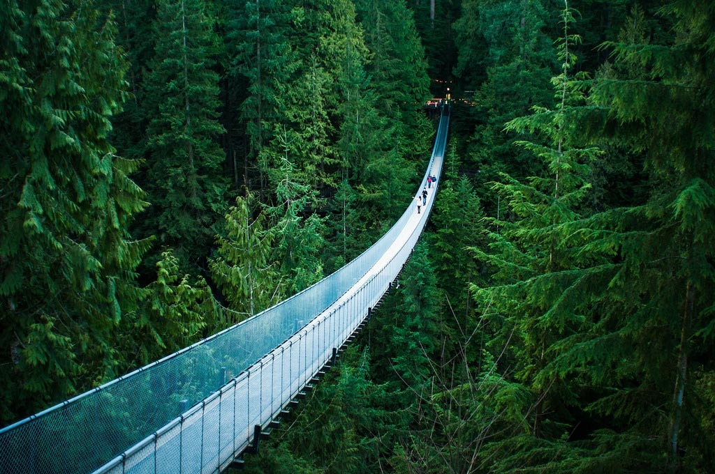 The suspension bridge in Capilano Regional Park sprawls across the rushing Capilano River. Photo: Michelle Lee