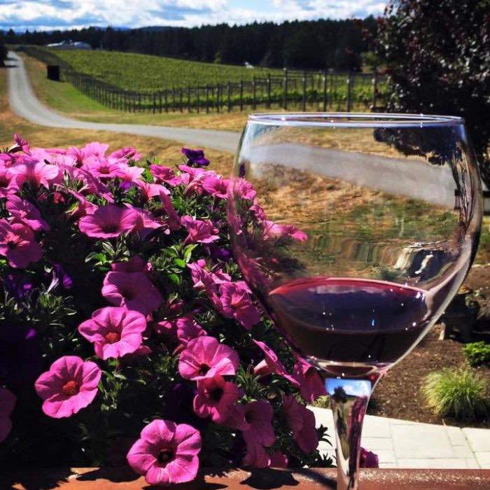 Seattle To Victoria Overnight With Cowichan Wine Country Tour