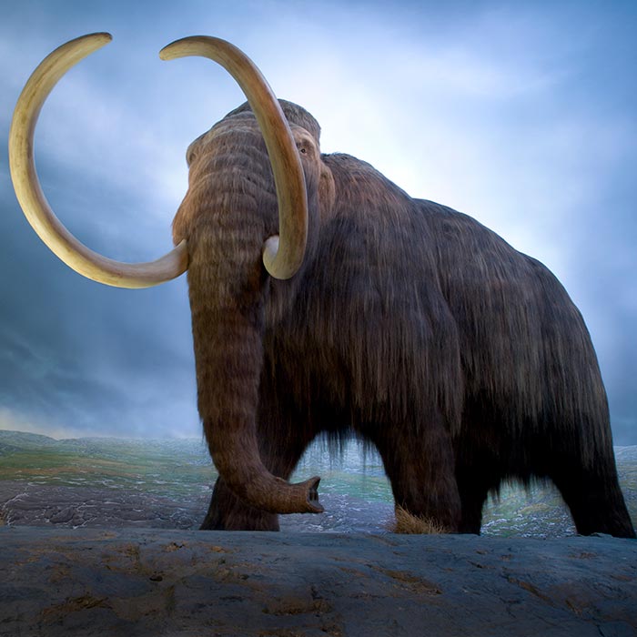 Seattle to Victoria Day Trip with Royal BC Museum